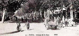 2879- Blida - Avenue de la Gare2 - 1923